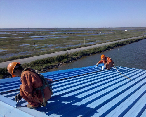 彩鋼瓦屋面防水
